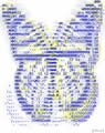 ASCII_mariposa - yto.cl - Chile